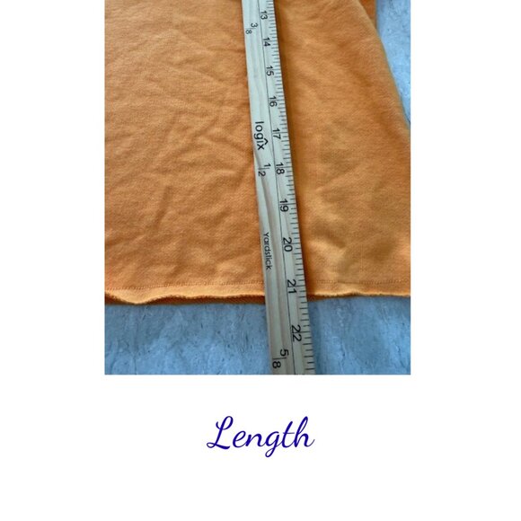 Champion Hoodie Size Large NWT Cozy Athleisure Essential - Picture 7 of 10